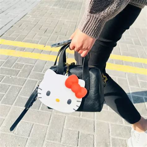 hello kitty養的貓|Hello Kitty「不是無嘴貓」！官方證實：她還養貓 身分。